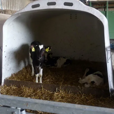 Hallmannshof * Sonsbeck