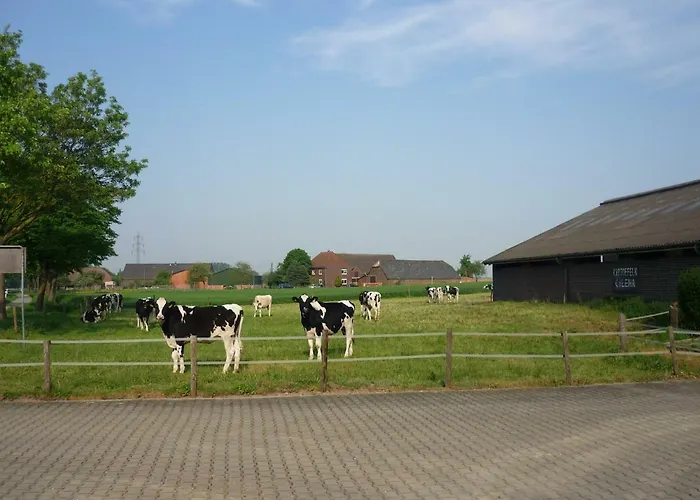 アパート Hallmannshof *