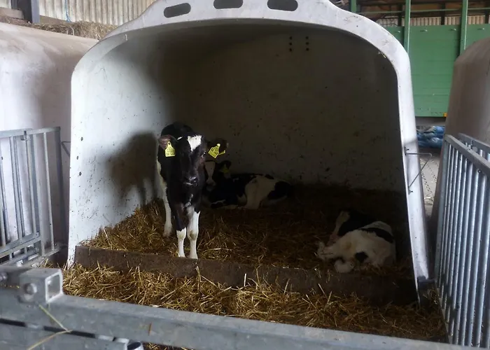 Hallmannshof * Sonsbeck